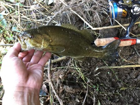 もう冬のパターン！？