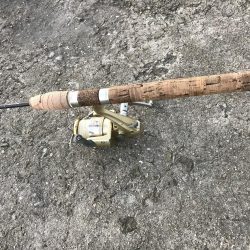 顔だけドラゴン