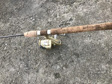 顔だけドラゴン