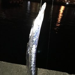 何とか1匹リールトラブル