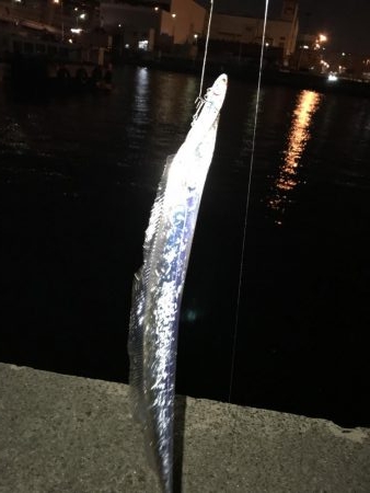 何とか1匹リールトラブル