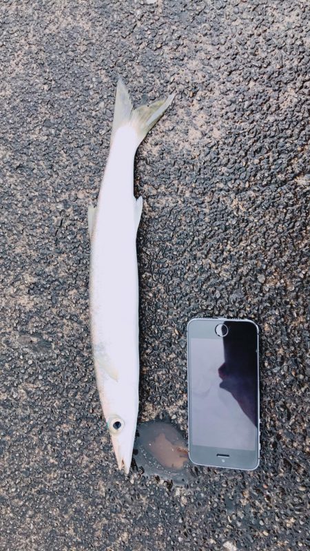 アジングですが…