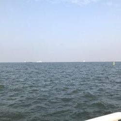 本拠地離れてタチウオ