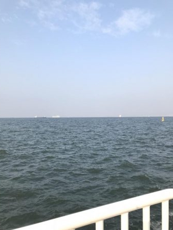 本拠地離れてタチウオ