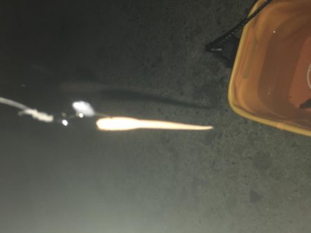 寒さ厳しい夜のアジング