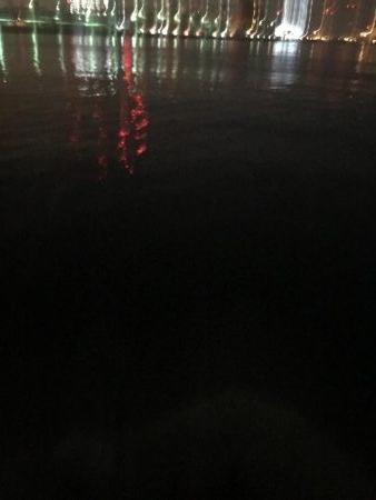 ホームでタチウオ