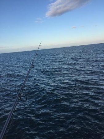 バラシばっかり…