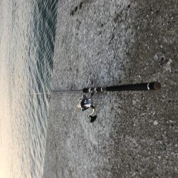 帰り際に牙族登場