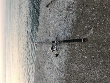 帰り際に牙族登場