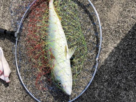 浮き呑ませ、エレベーター仕掛けの2刀流