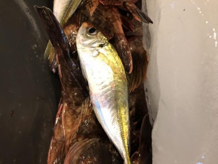 去年の面影なし