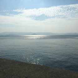 ギリギリハマチ