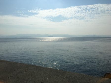 ギリギリハマチ