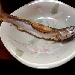 暴風 まともに釣れない