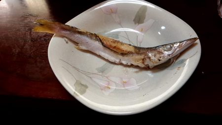 暴風 まともに釣れない