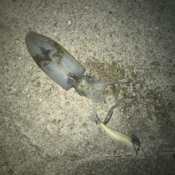 三連休ー松竹梅