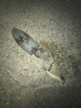 三連休ー松竹梅