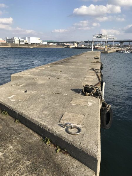 昨日に続きタコ!