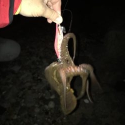 爆風でも行きたい！