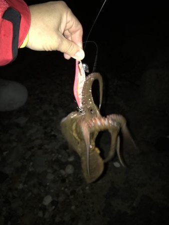 爆風でも行きたい！