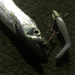 しゃくってダメならただ巻きだ!!