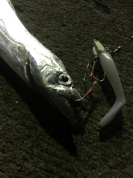 しゃくってダメならただ巻きだ!!