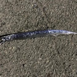 久しぶりに二桁釣れた！