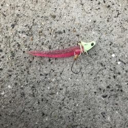 週末は場所取りが大変