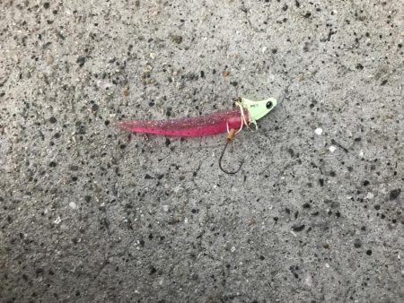 週末は場所取りが大変