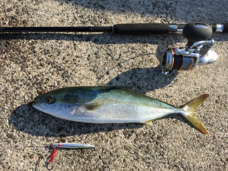 シラスパターンはノーサンキュー