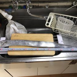 待望のドラゴン