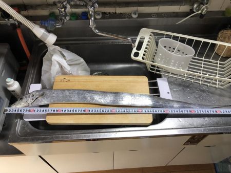 待望のドラゴン