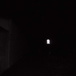 連荘スタート！タッチ―２５本獲ったどー！