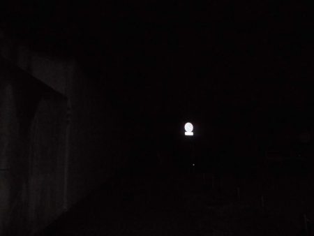 連荘スタート！タッチ―２５本獲ったどー！