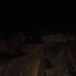 今日も近場の湾でタッチ―４本