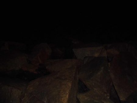 今日も近場の湾でタッチ―４本