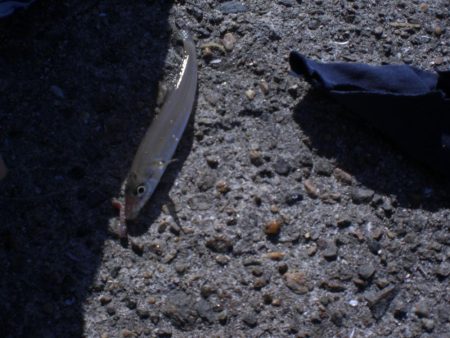 今日は夫婦で！