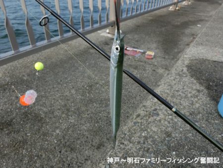 エンピツサヨリ釣り