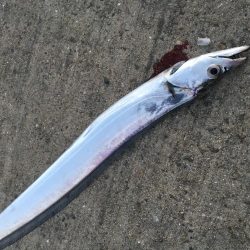 ウキとルアーで