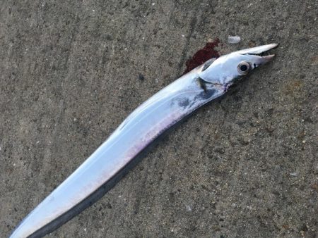 ウキとルアーで