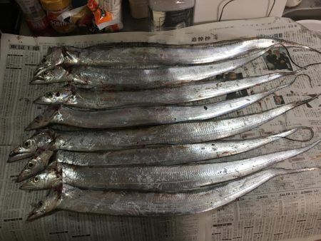 タチウオ好調です