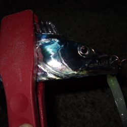 そろそろ終盤？