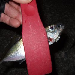 し、渋い・・・