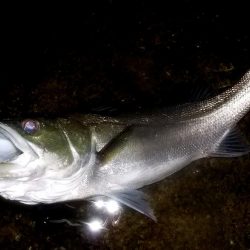 三連休初夜　跳ね橋　つ抜け