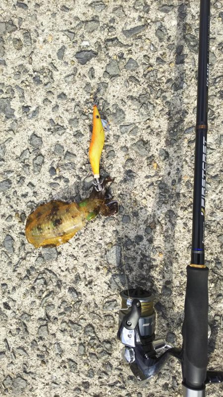 風の強い中の釣り