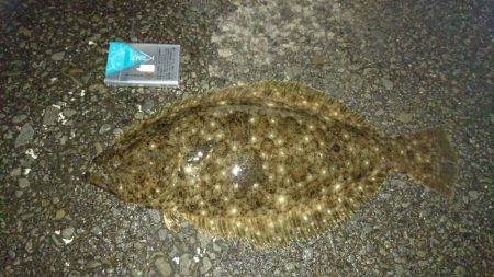 アジングからのヒラメ