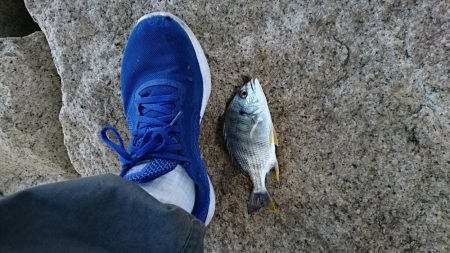 昨日のリベンジ