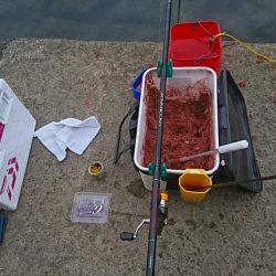 小潮、食いが渋い❗