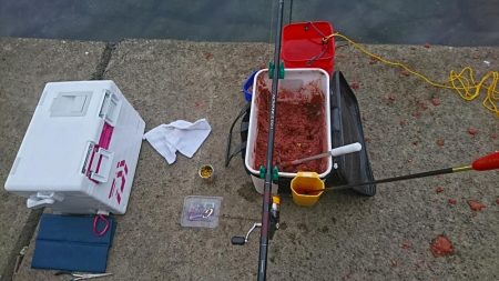 小潮、食いが渋い❗