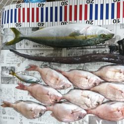 沼島でかご釣り